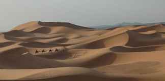 Exploring World’s Hottest Sahara Desert