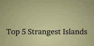Top 5 Strangest Islands