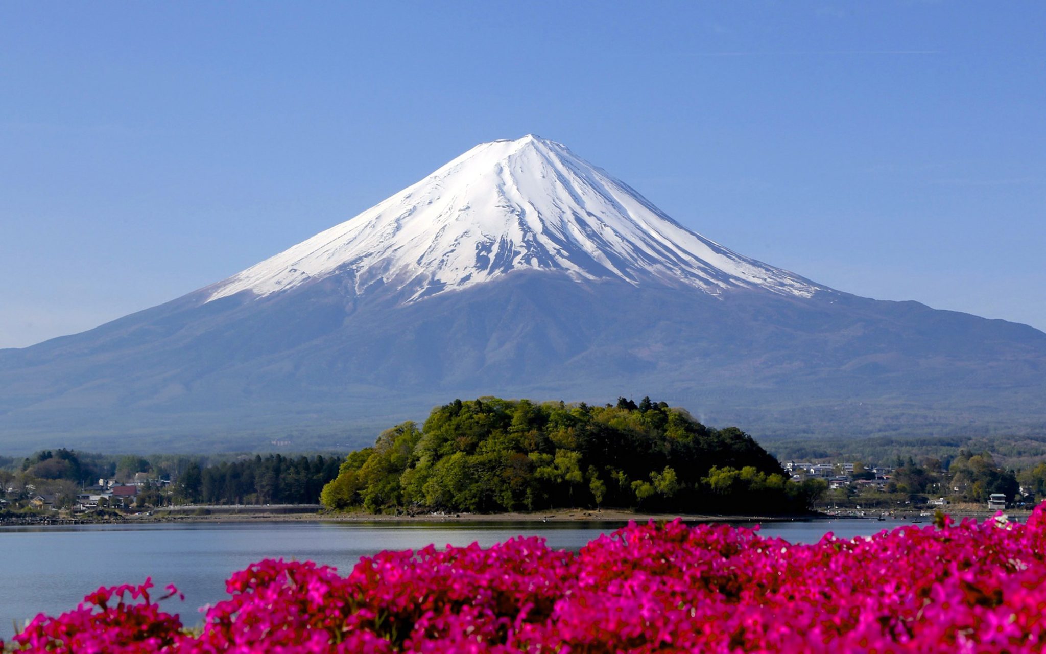 Mount Fuji View