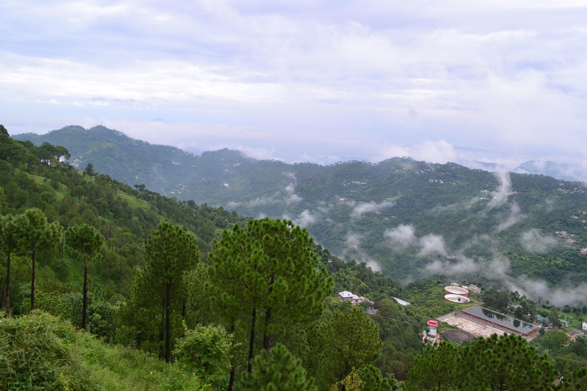 Kasauli