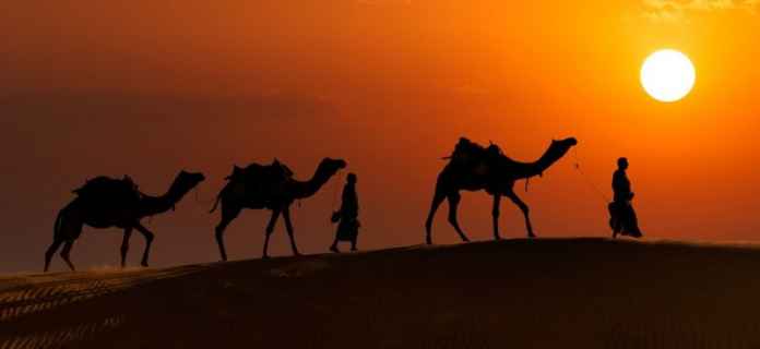 A night under the stars: Thar Desert - Travelbout