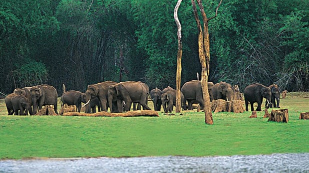 Idukki Wildlife Sanctuary