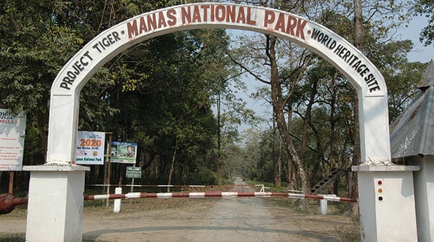Manas National Park Entry