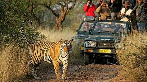 Dudhwa Tiger Reserve View