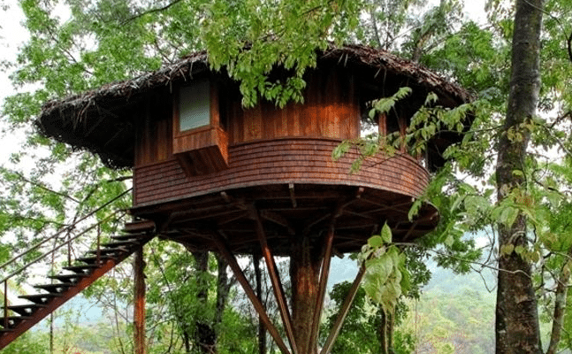 Rainforest boutique resort  Athirapally in Kerala