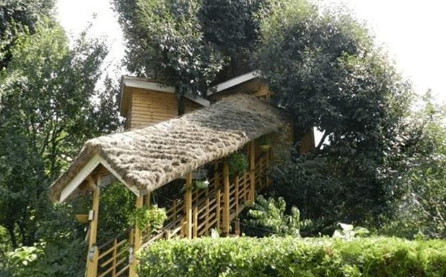 Treehouse Cottages  Manali