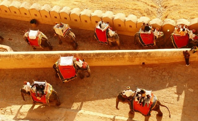 Amber-Fort-Elephant-Ride-Jaipur