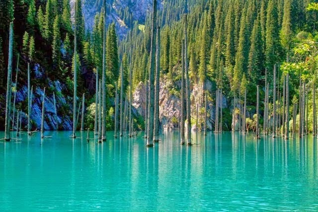 Underwater Forest in kaindy Lake, Kazakhstan