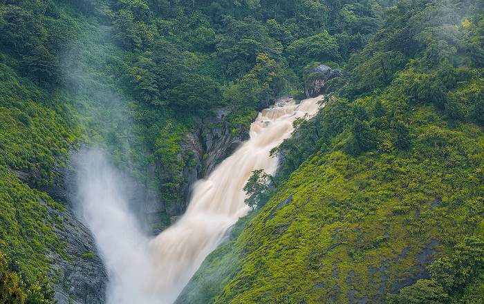 Must Visit Tourist places in Munnar