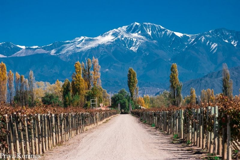 Mendoza – Argentina