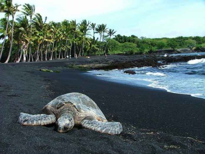 Best Black Sand Beaches you will want to visit