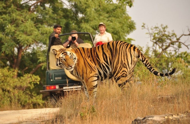 Jim Corbett National Park