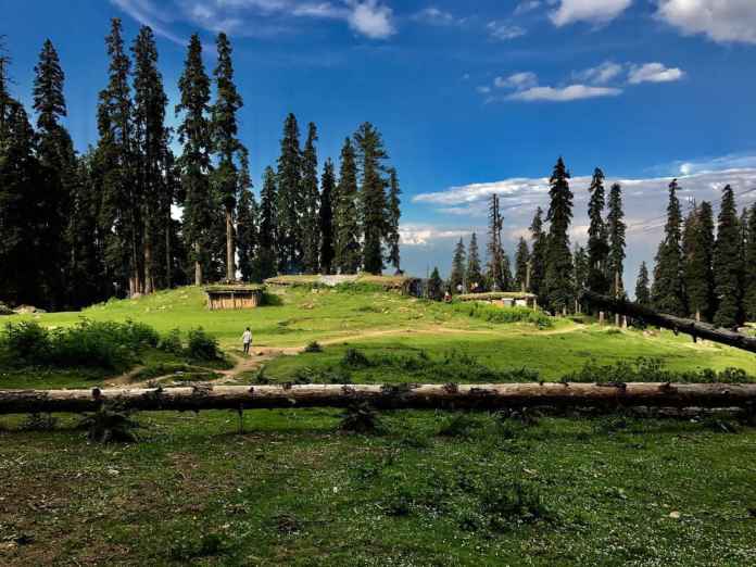 5 Best things to do in Gulmarg