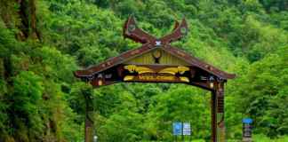 Nagaland,