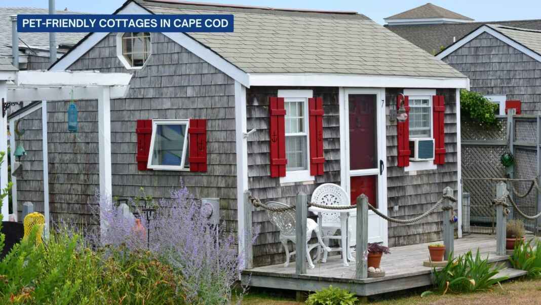 Pet-Friendly-Cottages-in-cape-Cod