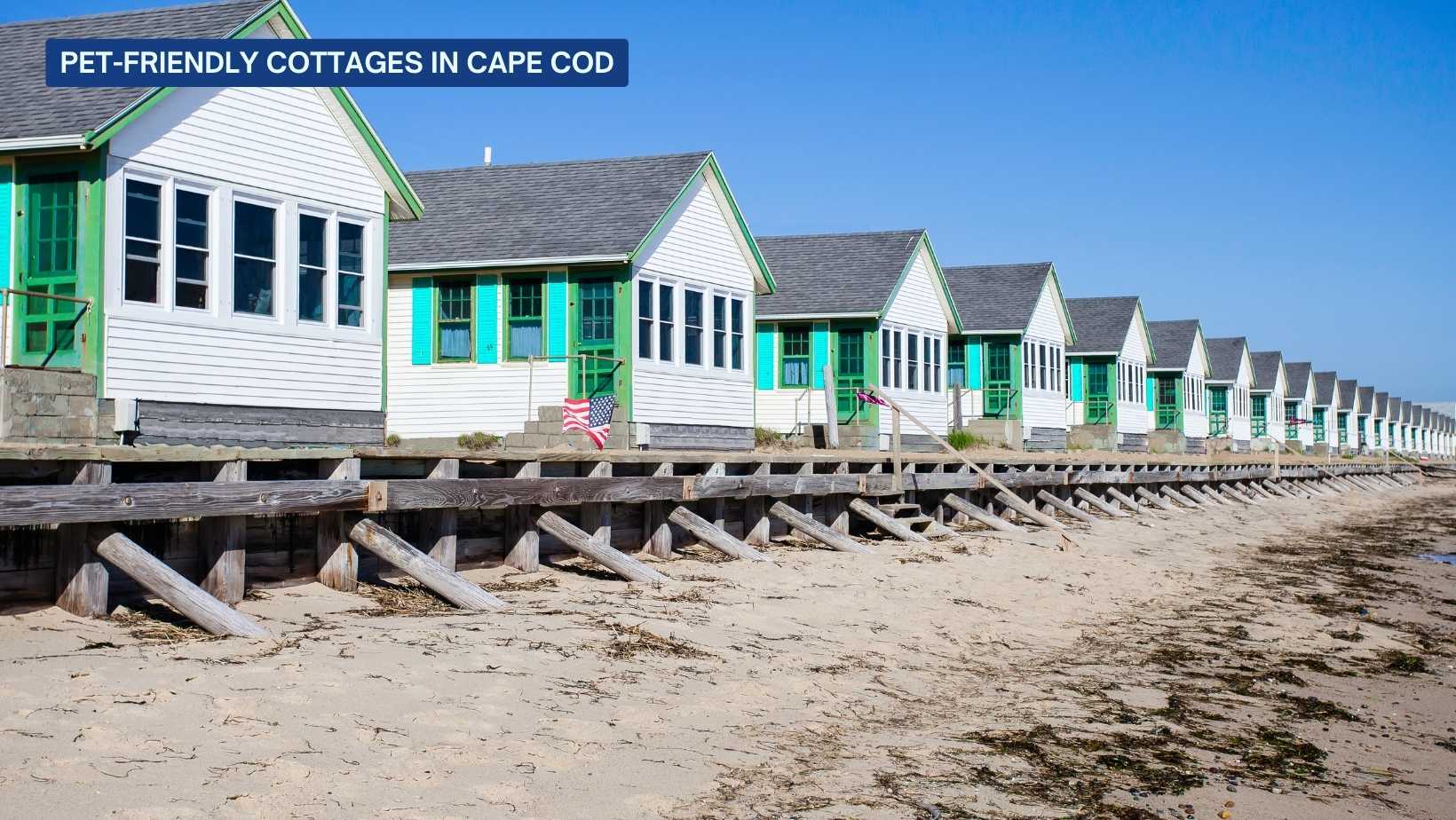 Pet-Friendly-Cottages-in-cape-Cod