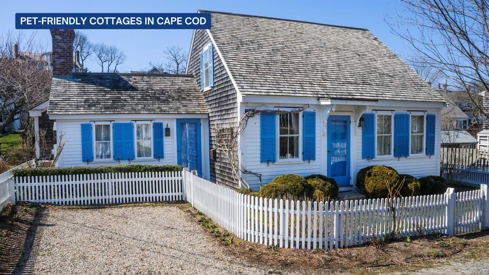 Pet-Friendly-Cottages-in-cape-Cod