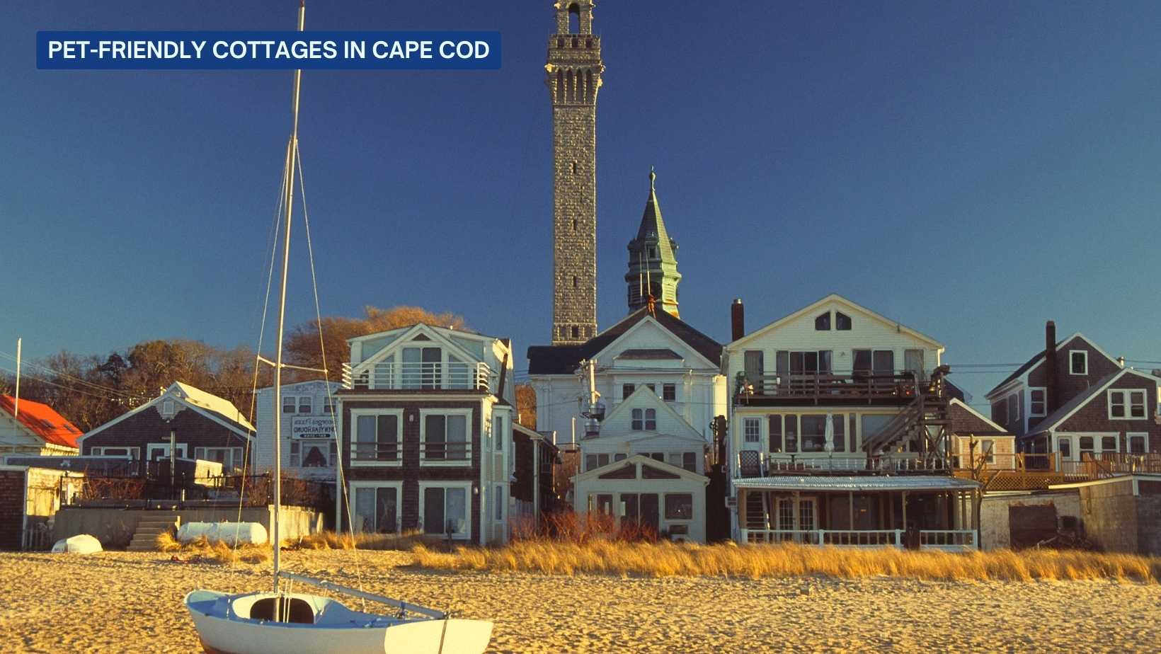 Pet-Friendly-Cottages-in-cape-Cod