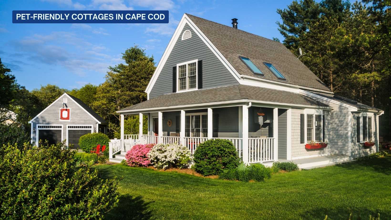 Pet-Friendly-Cottages-in-cape-Cod